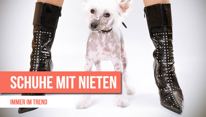 schuhe-nieten