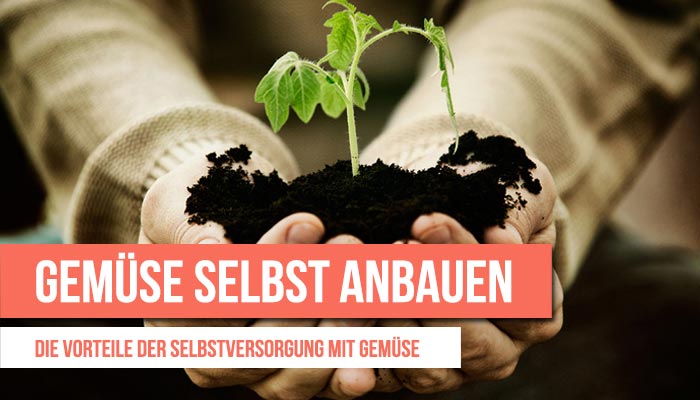 gemuese-selbst-anbauen